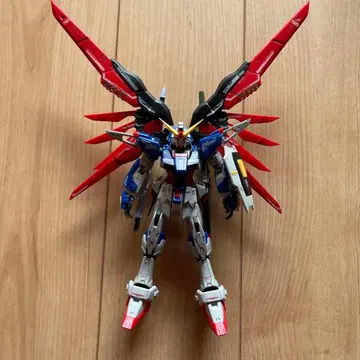 RG 1/144 데스티니 건담 + 갓 건담