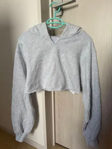 SPIRALGIRL 숏 기장 후드티 F 사이즈 그레이