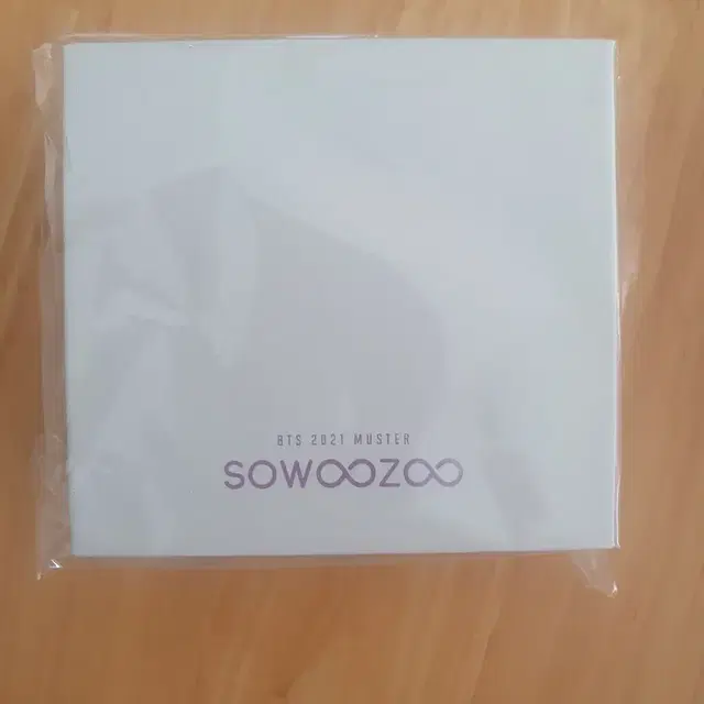 bts 소우주 귀걸이