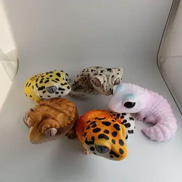 생물대도감 소프트 비닐 컬렉션 레오파와 크레스 전 5종