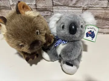 코알라 웜뱃 봉제 인형 호주 동물 입상