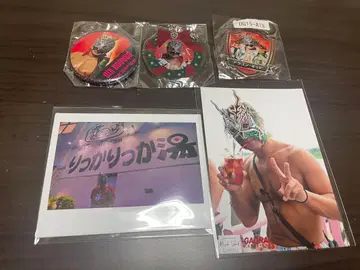 드래곤게이트 드래곤키드 브로마이드 캔뱃지