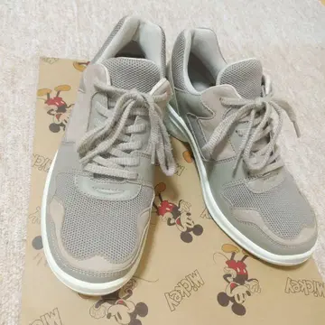 아킬레스 솔보 22cm 워킹화 스니커즈 그레이지