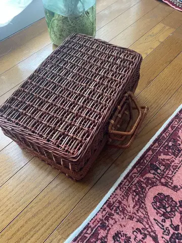 쇼와 레트로 피크닉 바스켓 일본의 카고 백