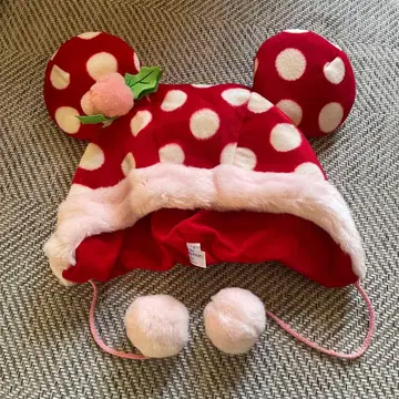 디즈니 미니 팬캡 2010