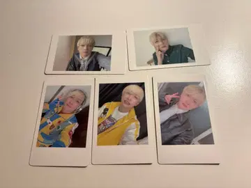 팬더드래곤 요타 하피카