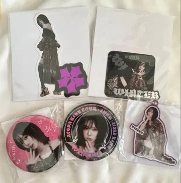 WINTER K-POP 배지 스티커 세트 키링 5종 세트