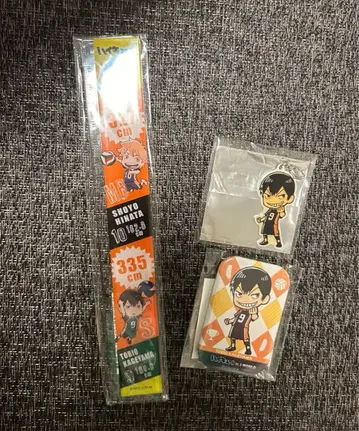 하이큐!! in J-WORLD 캔뱃지 카게야마