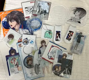 테니프리 테니스의 왕자님 후지 슈스케 정리