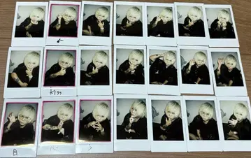 쉘미 폴라로이드 묶음 판매