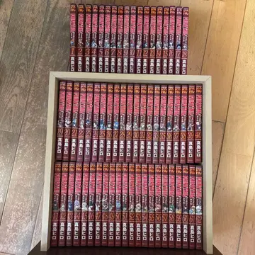 페어리 테일 전권 세트