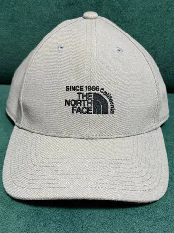THE NORTH FACE 캡
