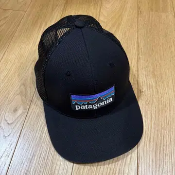 patagonia cap 메쉬 파타고니아
