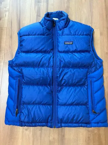 patagonia 파타고니아 다운 베스트