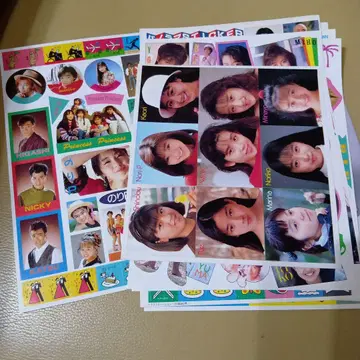 쇼와 레트로 아이돌