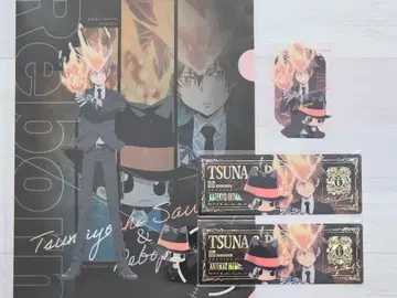 가정교사 히트맨 REBORN! 사와다 츠나요시 복권 플라 일괄