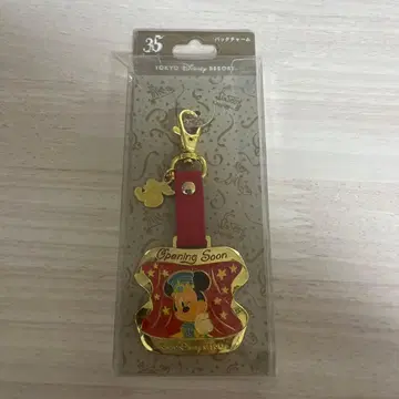 도쿄 디즈니 리조트 35주년 미키마우스 백참