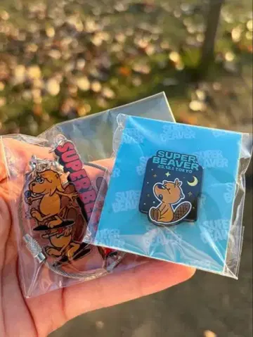 SUPER BEAVER 도쿄 국제 포럼 핀 배지 & 키체인 세트