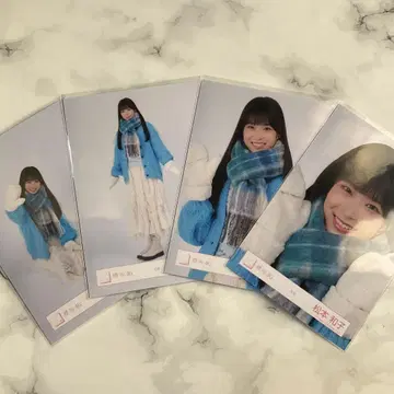 사쿠라자카46 마츠모토 카즈코 겨울 의류 4종 컴프 브로마이드