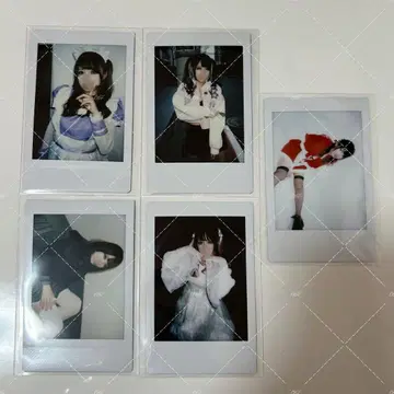 천귀복도가 랜덤 폴라로이드