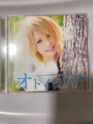 오토이로하 테루테루짱