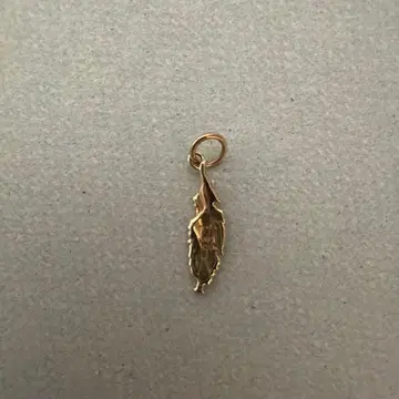 잎 모양의 골드 컬러 참