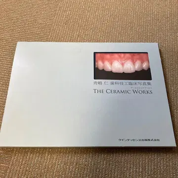 THE CERAMIC WORKS 아오시마 진 저