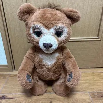 CUBBY 곰 봉제 인형 아기 곰 카비