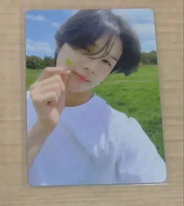 &TEAM K 케이 &Audition 트레이딩 카드 초원