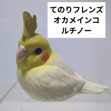 테노리 프렌즈 오카메앵무새 루치노