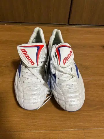 미즈노 모렐리아 WAVE JAPAN