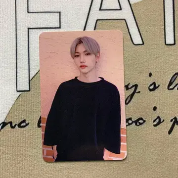 StrayKids 필릭스 GO subk 트레이딩 카드