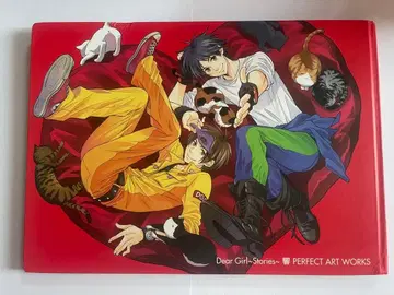 DGS 히비키 perfect art work