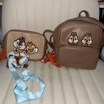 칩과 데일 자수 숄더백