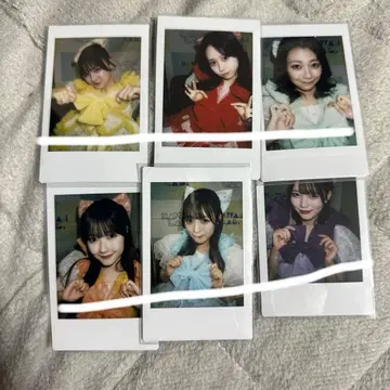 큐스토 해파리 의상 폴라로이드