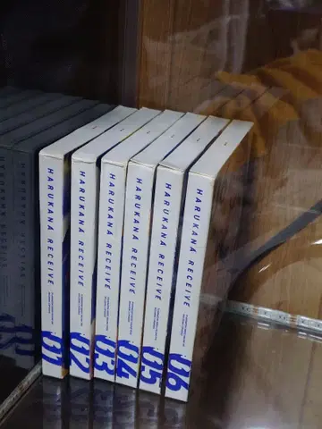 하루카나 리시브 최초 한정판 DVD 전권 세트