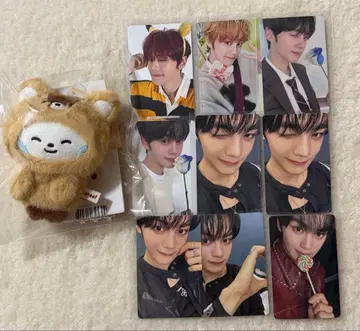 규빈 묶음 판매 트레이딩 카드 마그넷 사진 홀더