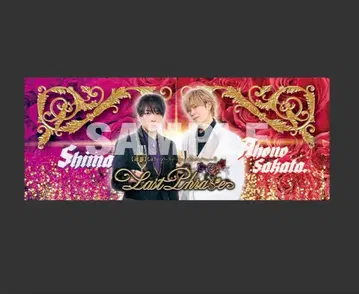 시마사카 혜택 펜라 시트