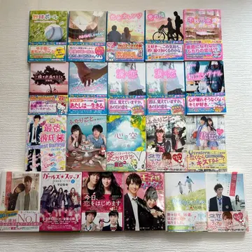 휴대폰 소설 21권 세트 묶음 판매 노이치고 문고 핑키 문고