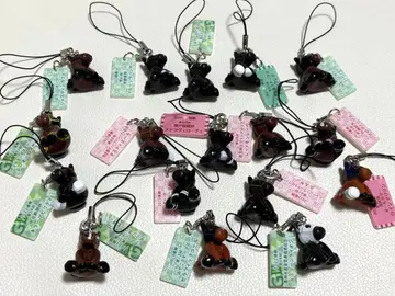 아이돌 호스 미니 컬렉션 세트