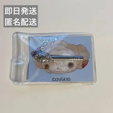 coyseio cuddle hair pin silver