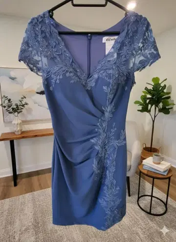 자수 레이스 슬리브 드레스