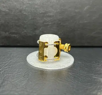 K plume 리가처 S.sax GP