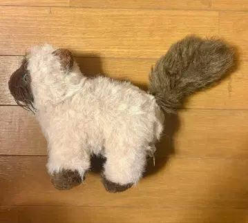 GANZ 봉제 인형 고양이