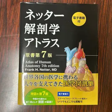 네터 해부학 아틀라스 제7판