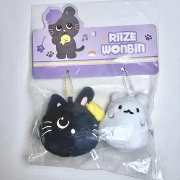 RIIZE 상하이 팝업 원빈 냥덕 키링