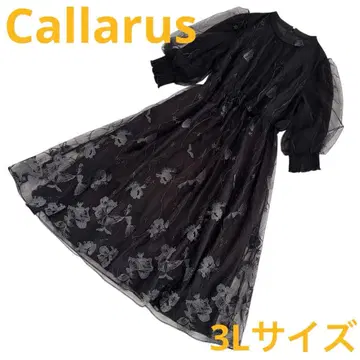 카랄루스 롱 원피스 자수 A라인 튤 블랙 세레모니 3L