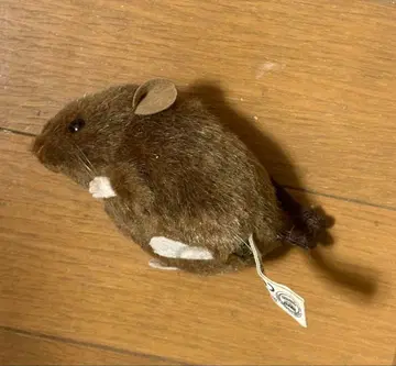 kosen 브라운 마우스 봉제 인형