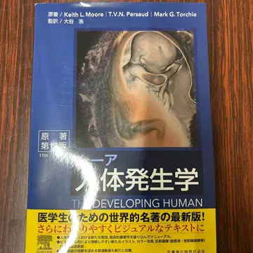 무어 인체 발생학 The Developing Human 제11판