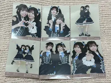 가련한 아이보리 브로마이드 묶음 판매